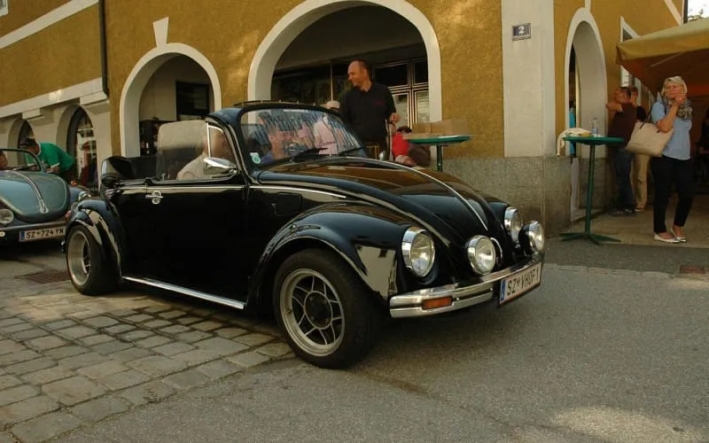 p66.jpg
