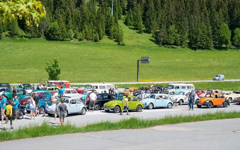 kaeferweihe_2205_052.jpg